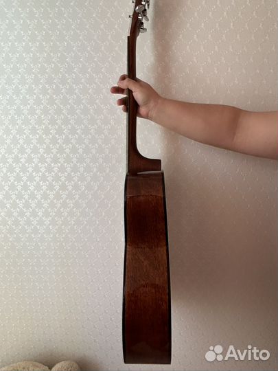 Гитара Cort AF510E