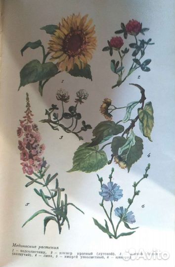 Книги по пчеловодству