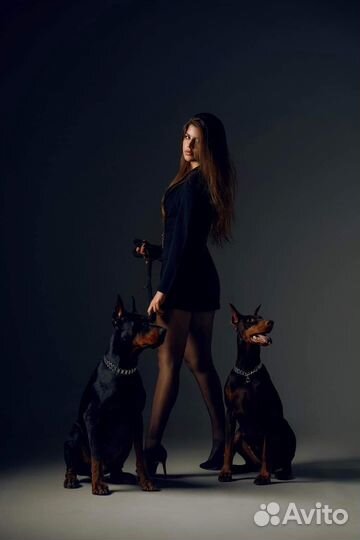 Вяжу за Щенка на выбор