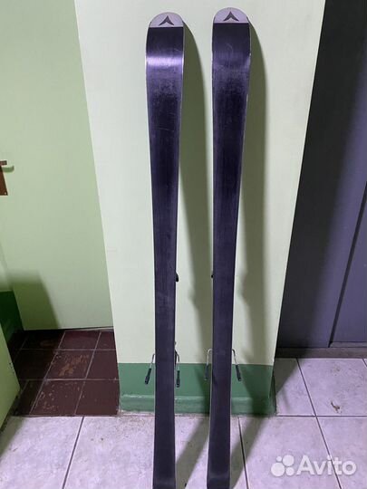 Горные лыжи