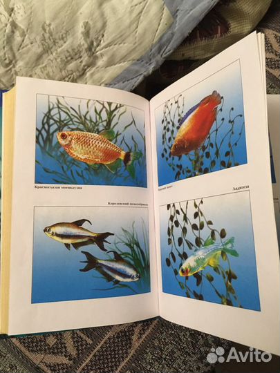 Энциклопедия аквариумных рыбок
