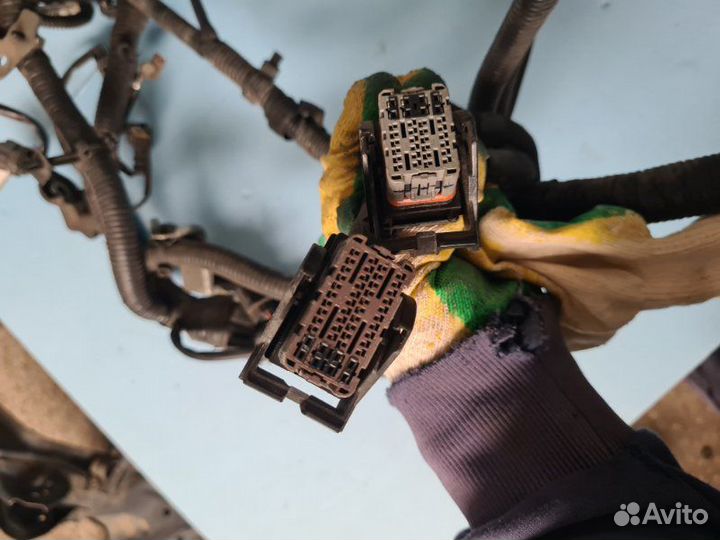 Проводка двс Nissan X-Trail T31 MR 20 2008