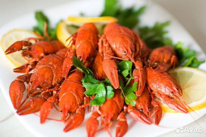 Раки живые-вареные 18/20 шт./кг