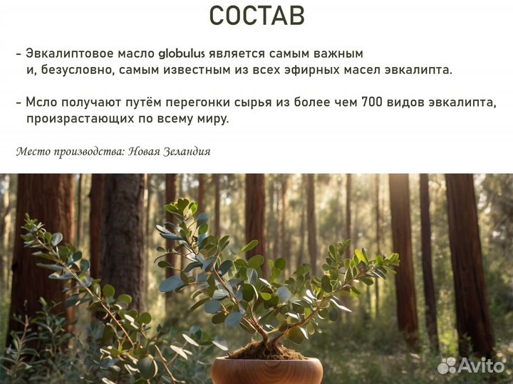 Эвкалиптовое масло 