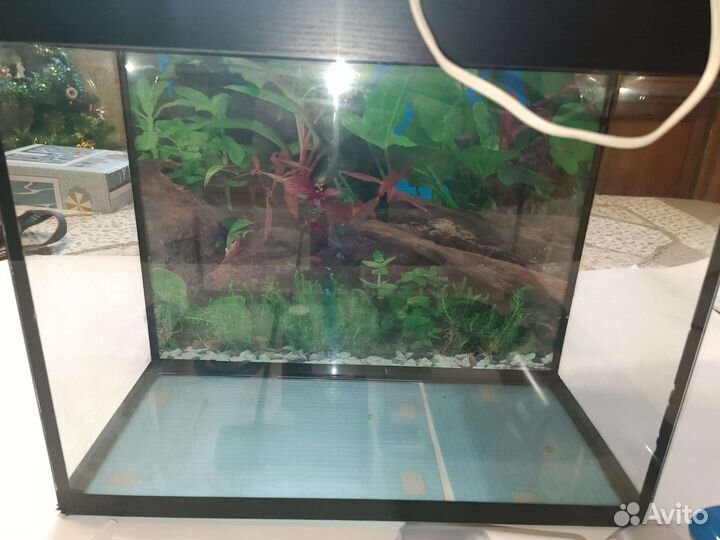 Аквариум