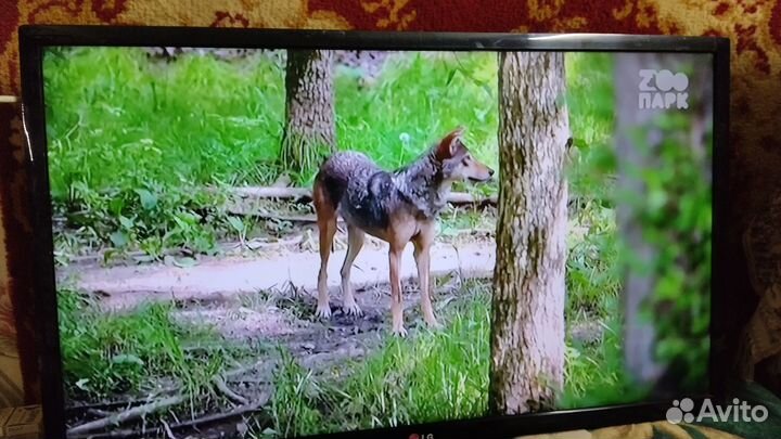 Телевизор LG 32 дюйма