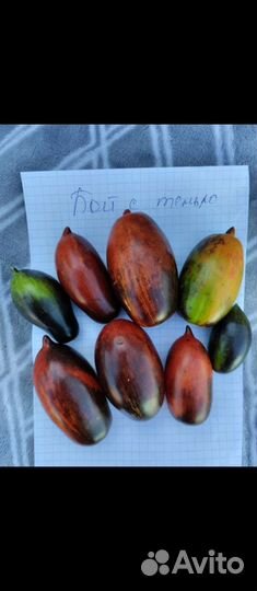 Томаты редкие сорта