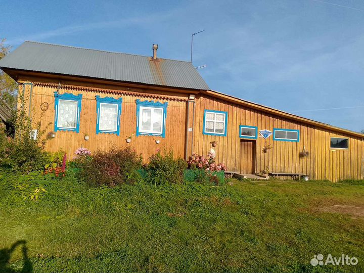 Продаю пасеку