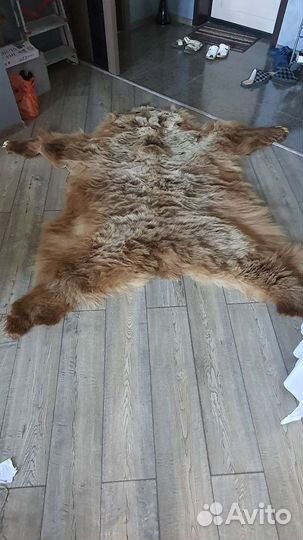 Шкура медведя имитация