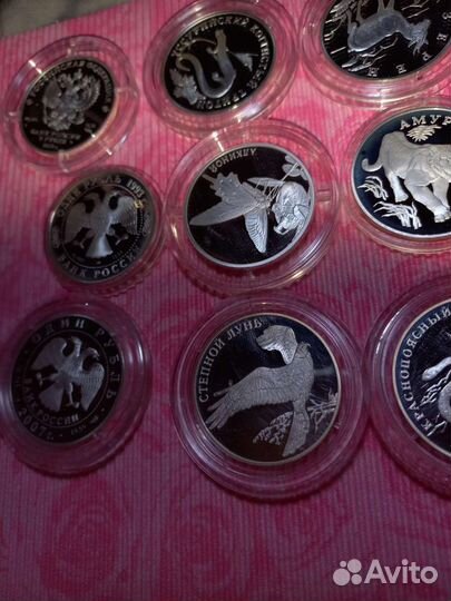 1 рубль Красная книга серебро 1993 - 2007 год