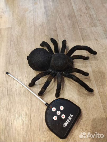 Паук тарантул на пульте управления