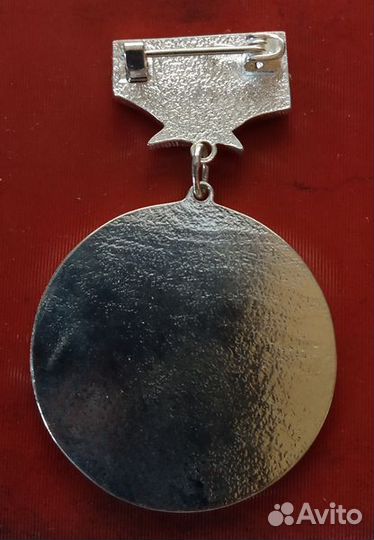 Костромская грэс 1969-2019 Ветеран (разновид, тяж)