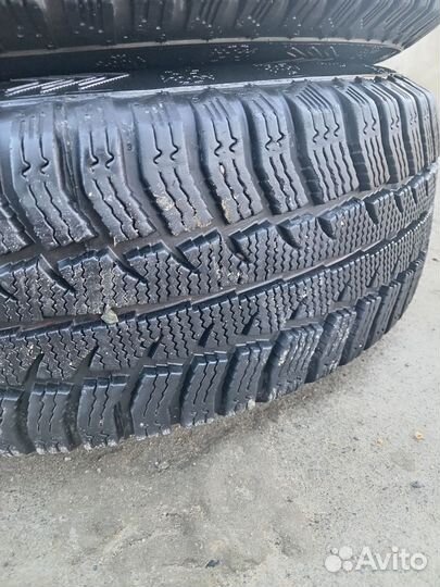 Cordiant Polar SL 175/65 R14