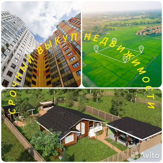 Срочный выкуп недвижимости и спецтехники