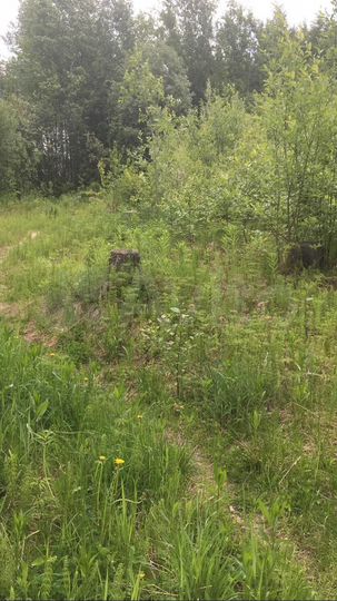 Участок 7,5 сот. (ИЖС)