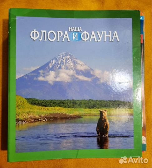 Наша флора и фауна