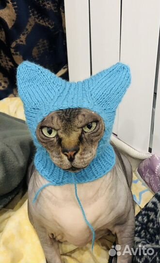 Шапка для собачек, кошек
