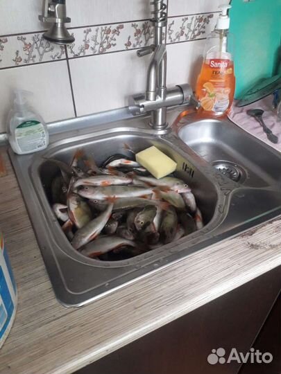 Свежая рыба