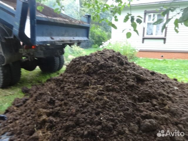 Навоз под лук коровий