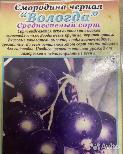 Смородина ежемалина орех грецкий ежевика саженцы