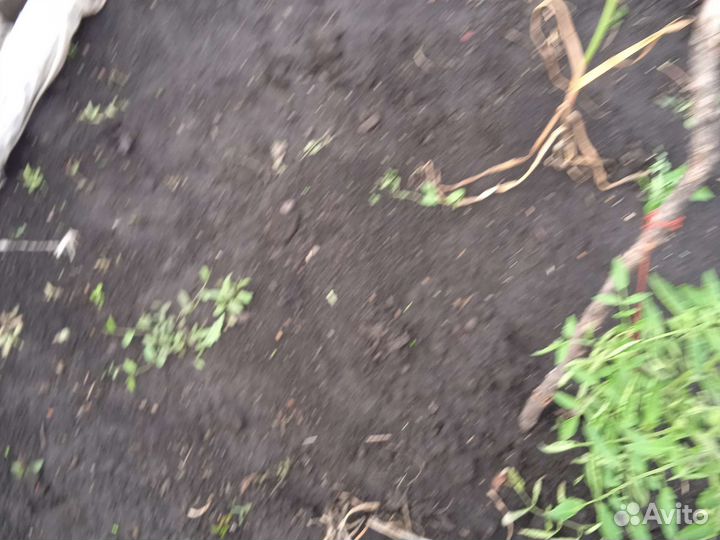 Парник пластмассовый трубки толстые