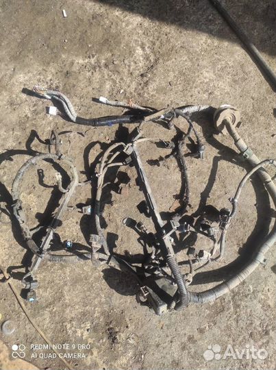 Моторная коса Хонда Аккорд 7