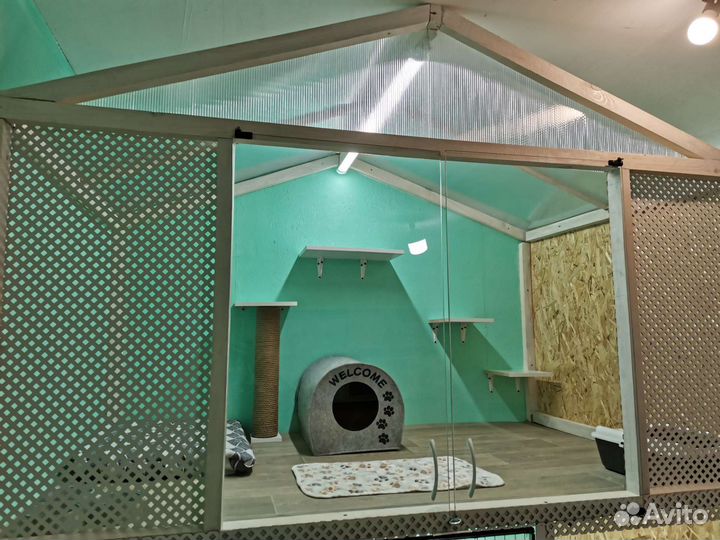 Передержка животных