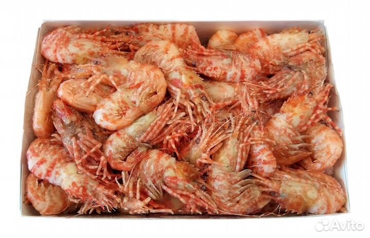 Креветка гренландия 70/90