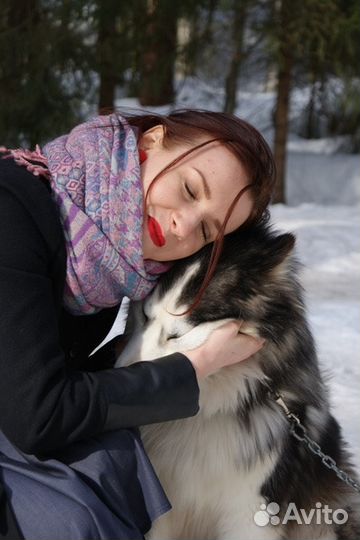 Догситтер (зооняня, передержка собак)