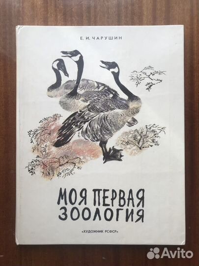 Моя первая зоология