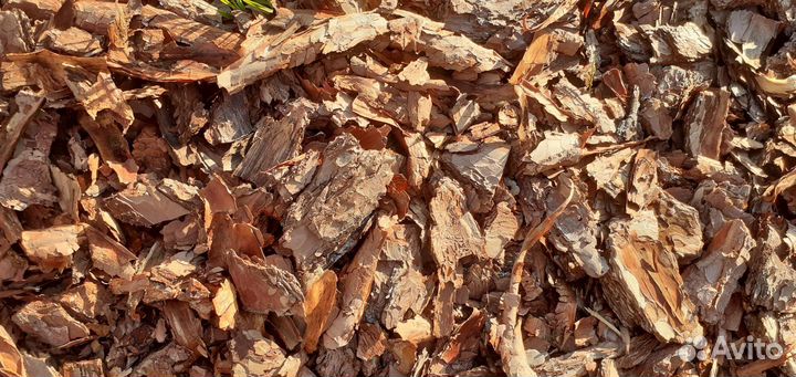 Кора сосны мульча