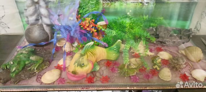 Аквариум
