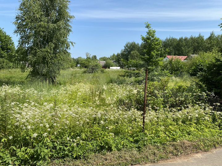 Участок 15,2 сот. (ИЖС)