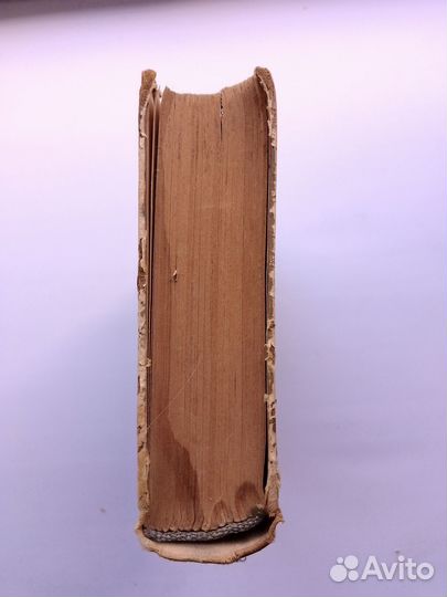 На диком бреге