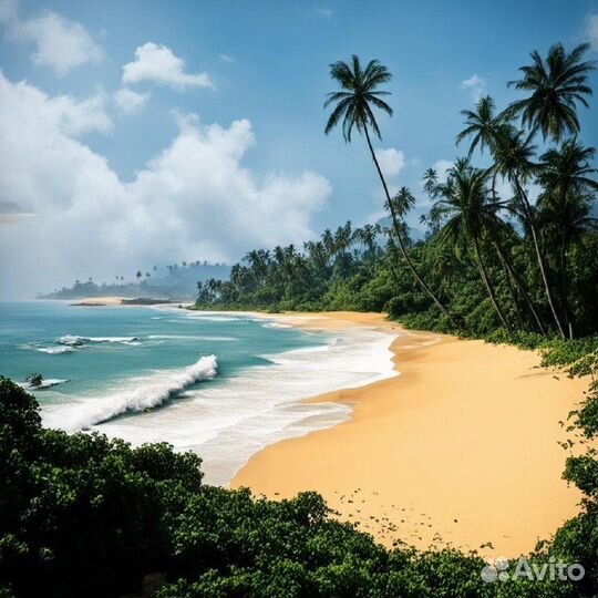 Туры на отдых на Шри-Ланке