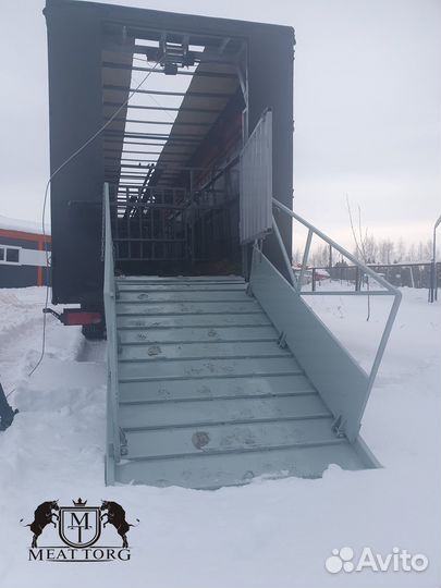 Услуги скотовоза, перевозка скота (коров, быков)