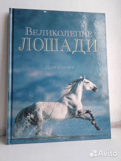 Книги о лошадях, набор 3 штуки