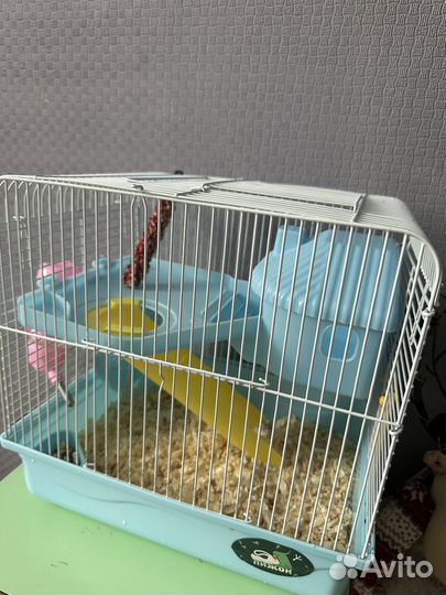 Джунгарский хомяк с клеткой