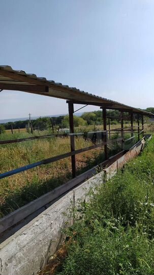 Участок 1340 га (СНТ, ДНП)