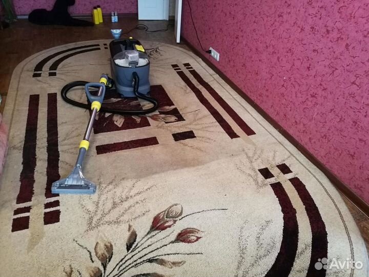 Аренда/ прокат моющий пылесос (химчистка)