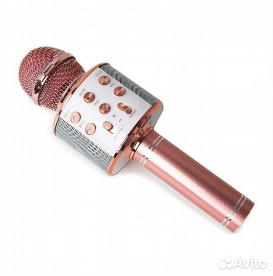 Микрофон-караоке Fengchengjia toys YS0213716