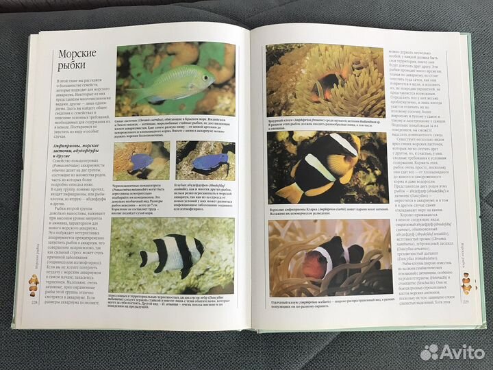 Книга энциклопедия Аквариумные рыбки