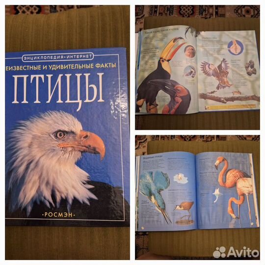 Познавательные книги для школьников