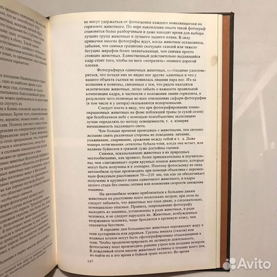 Фотографирование живой природы