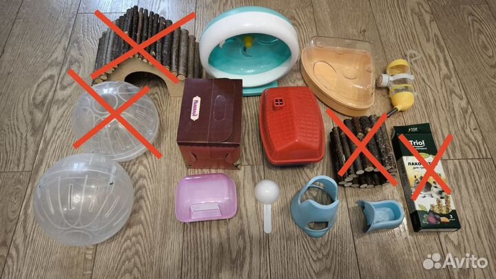 Хомячьи радости