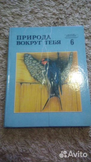 Книги для школьников