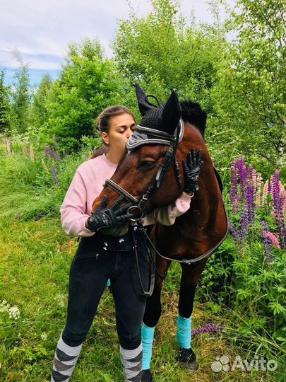 Конные прогулки Фотоссесии и аренда лошадей