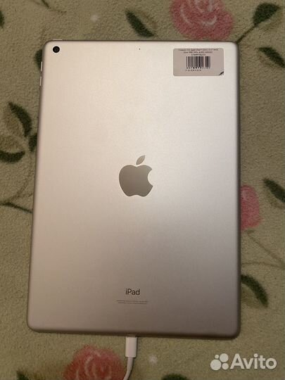 Apple iPad