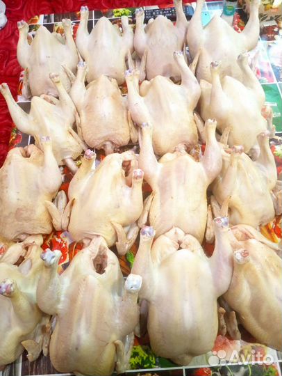 Мясо бройлеров и куриное яйцо