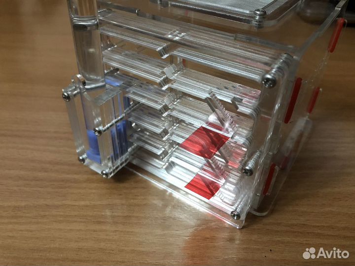 Формикарий